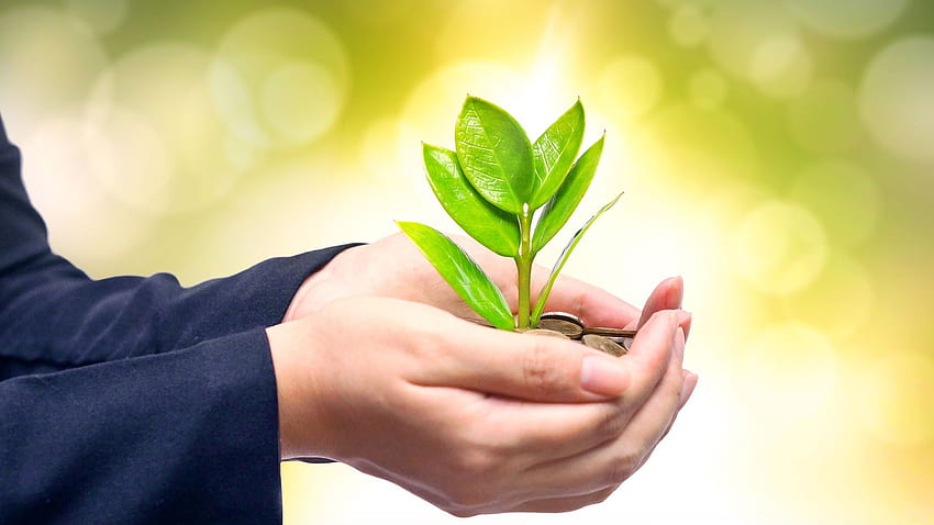 Aura Lanka Values